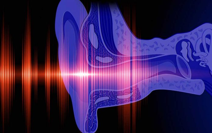 First-3-D-Printed-Middle-Ear-Transplant-Cures-Deafness