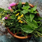 7 Healthy, Nutritious "Weeds" You Could Eat