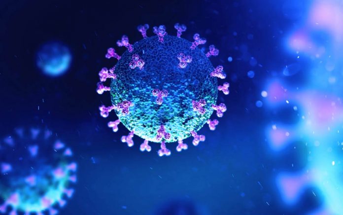 6 Things You Should Know About the Coronavirus